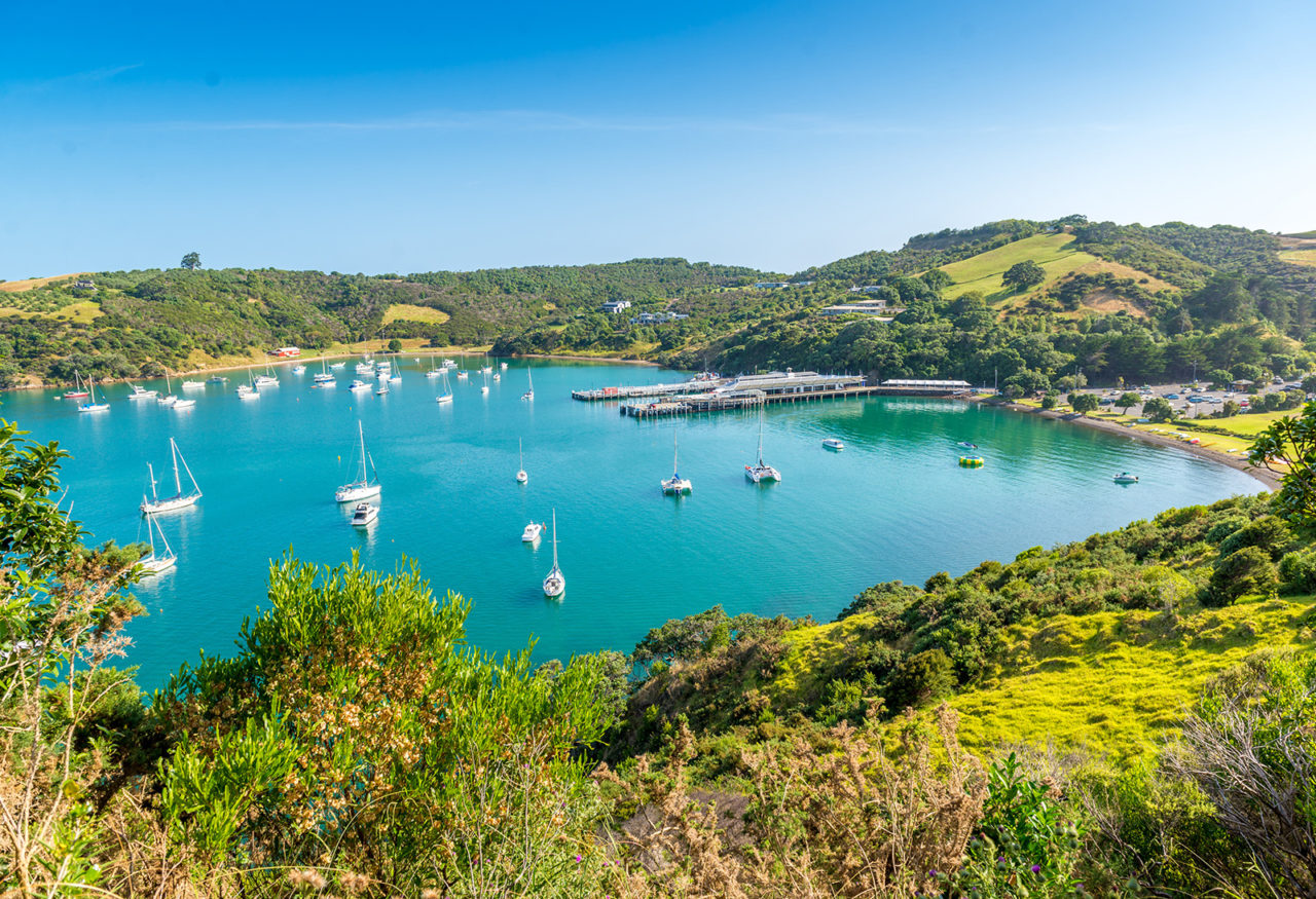 Waiheke Island, Auckland