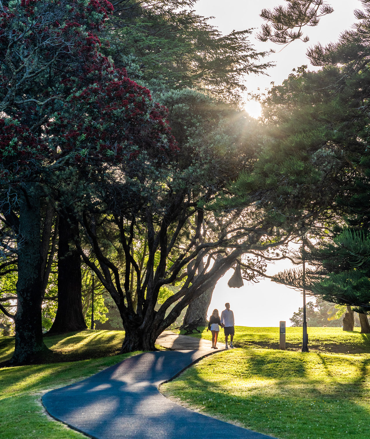 Auckland Domain, Parnell